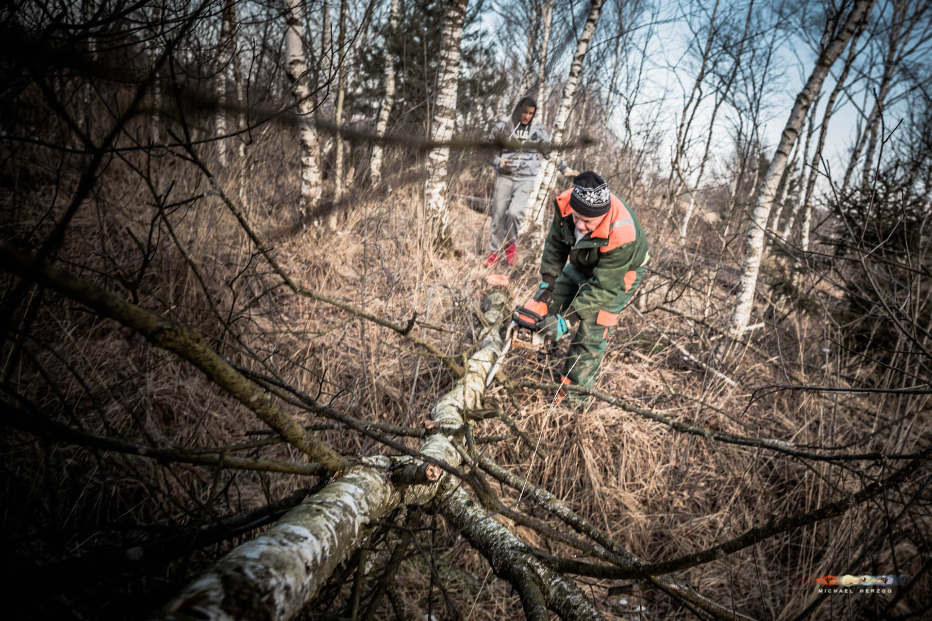 Weidmoos_Pflege_Frühling2018_MichaelHerzog-1504.jpg