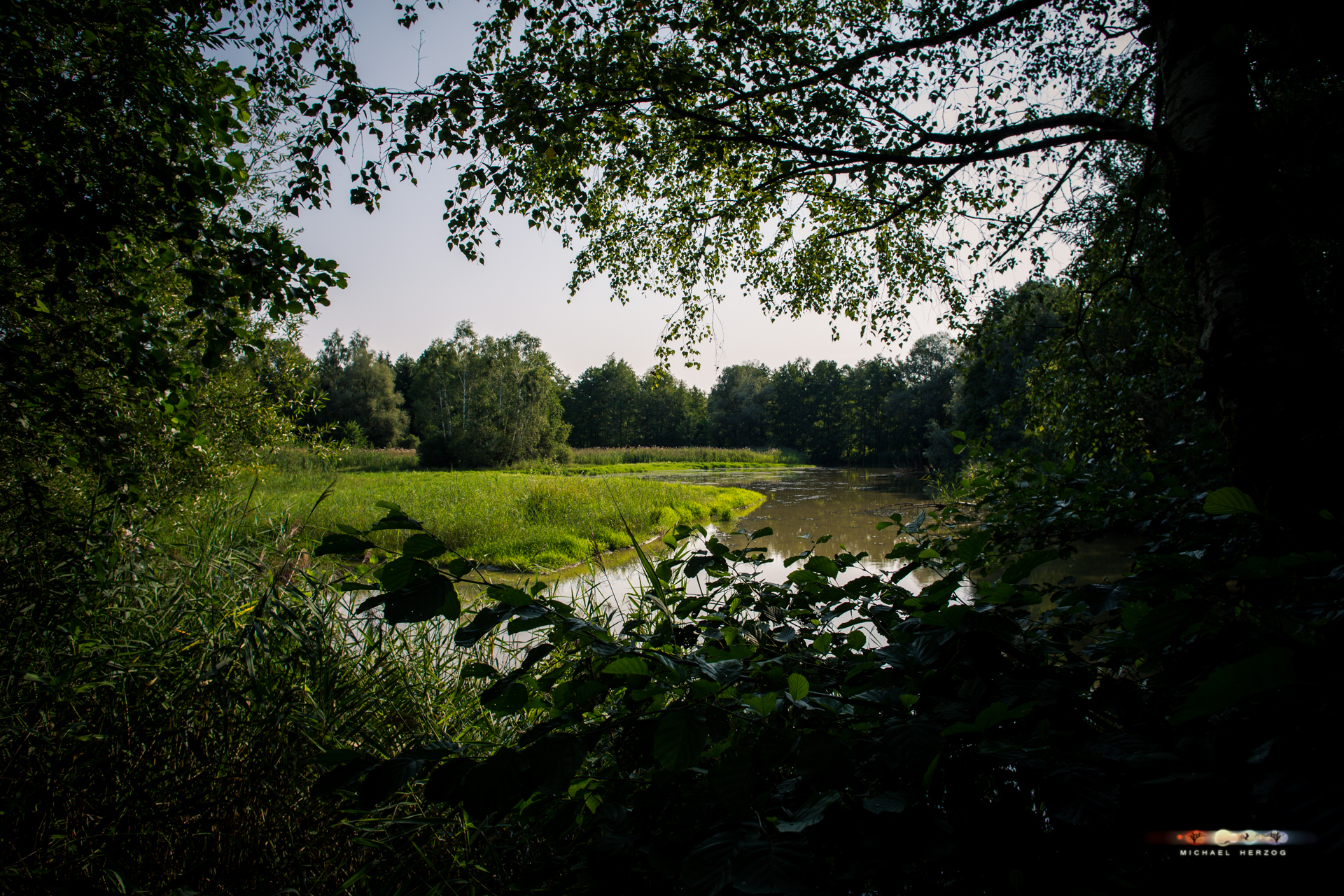 Bürmooser_Moor_August2018_MichaelHerzog-1602.jpg