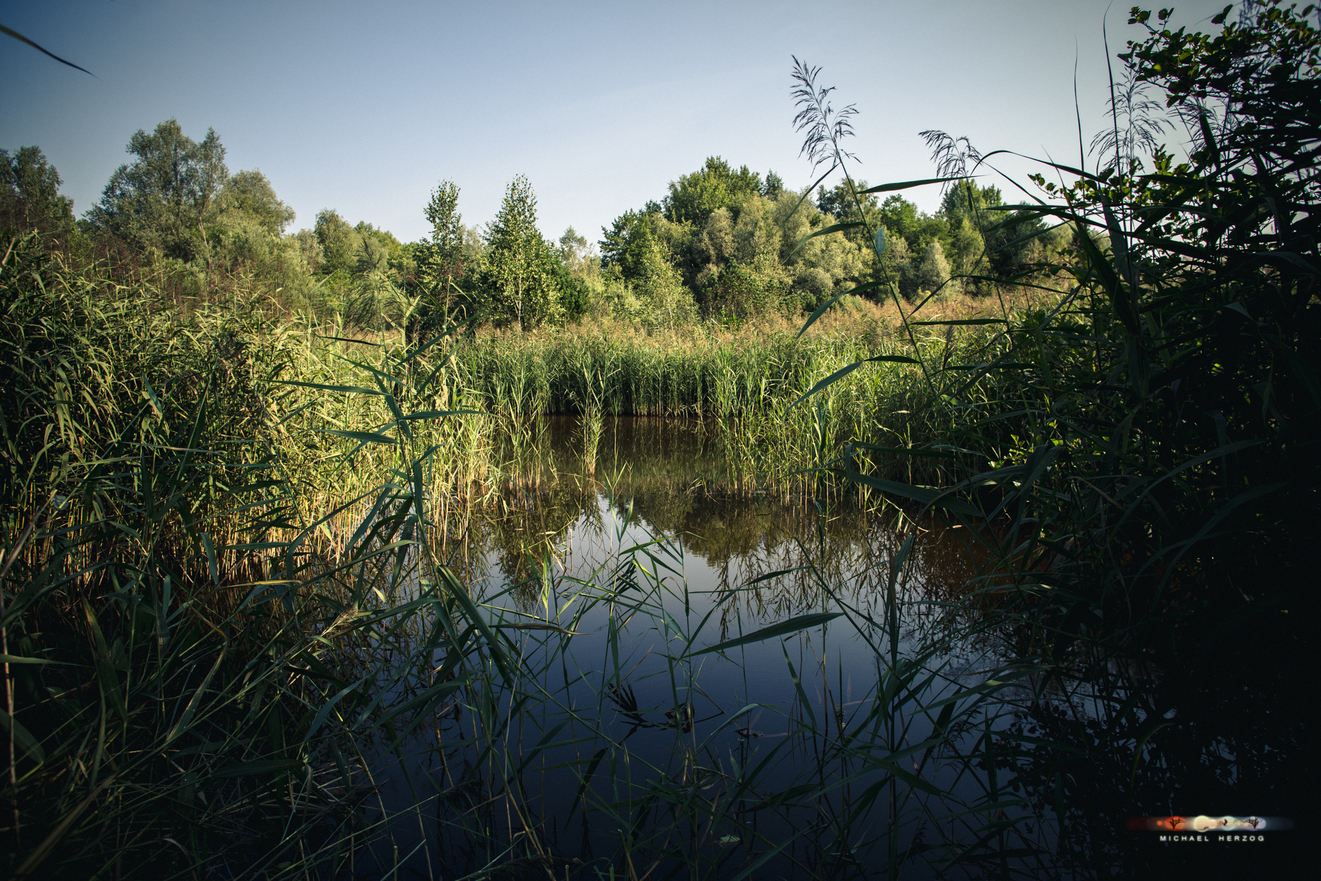 Bürmooser_Moor_August2018_MichaelHerzog-1640.jpg