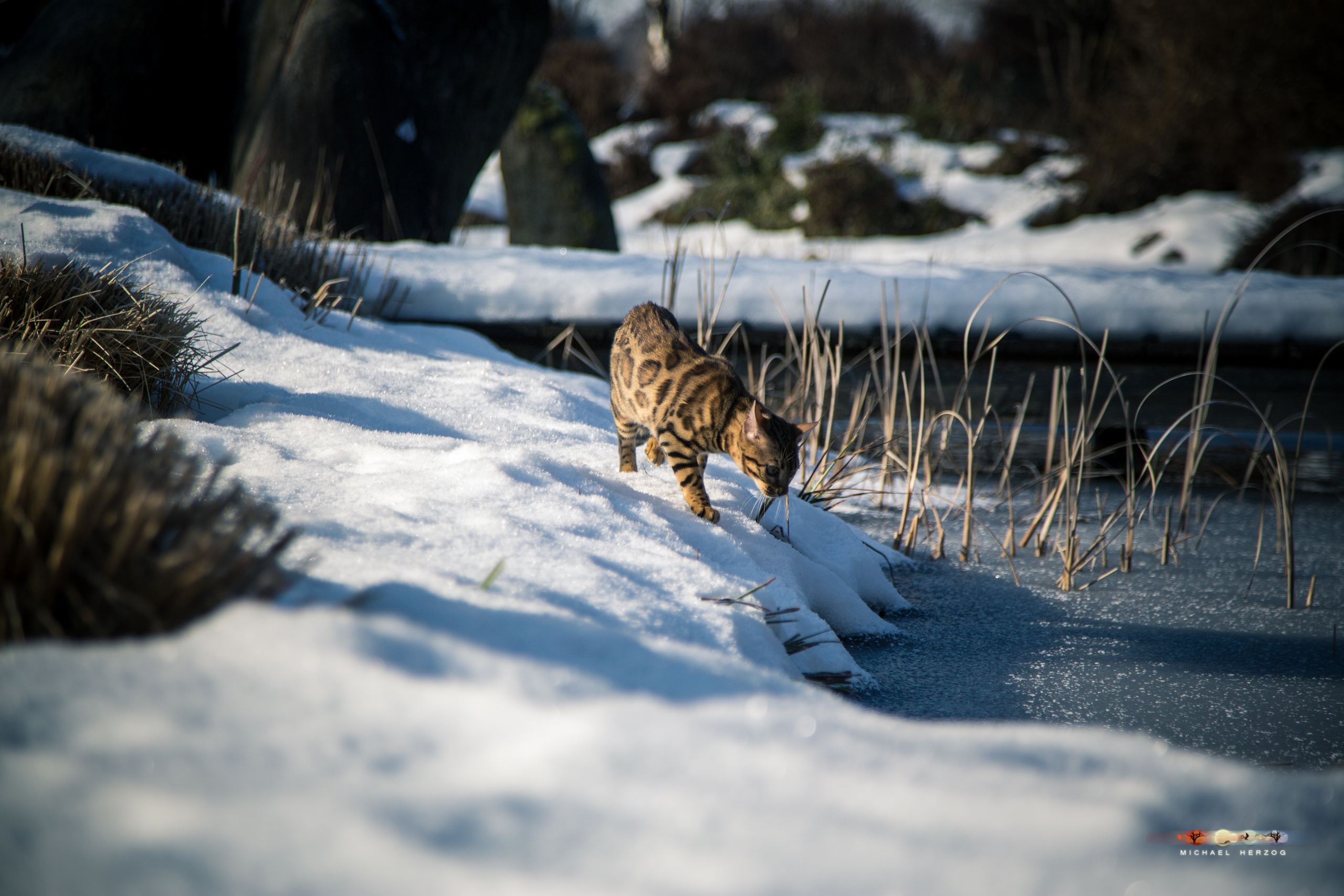 BALUARI_Winter2019_Garten_MichaelHerzog-8359.jpg