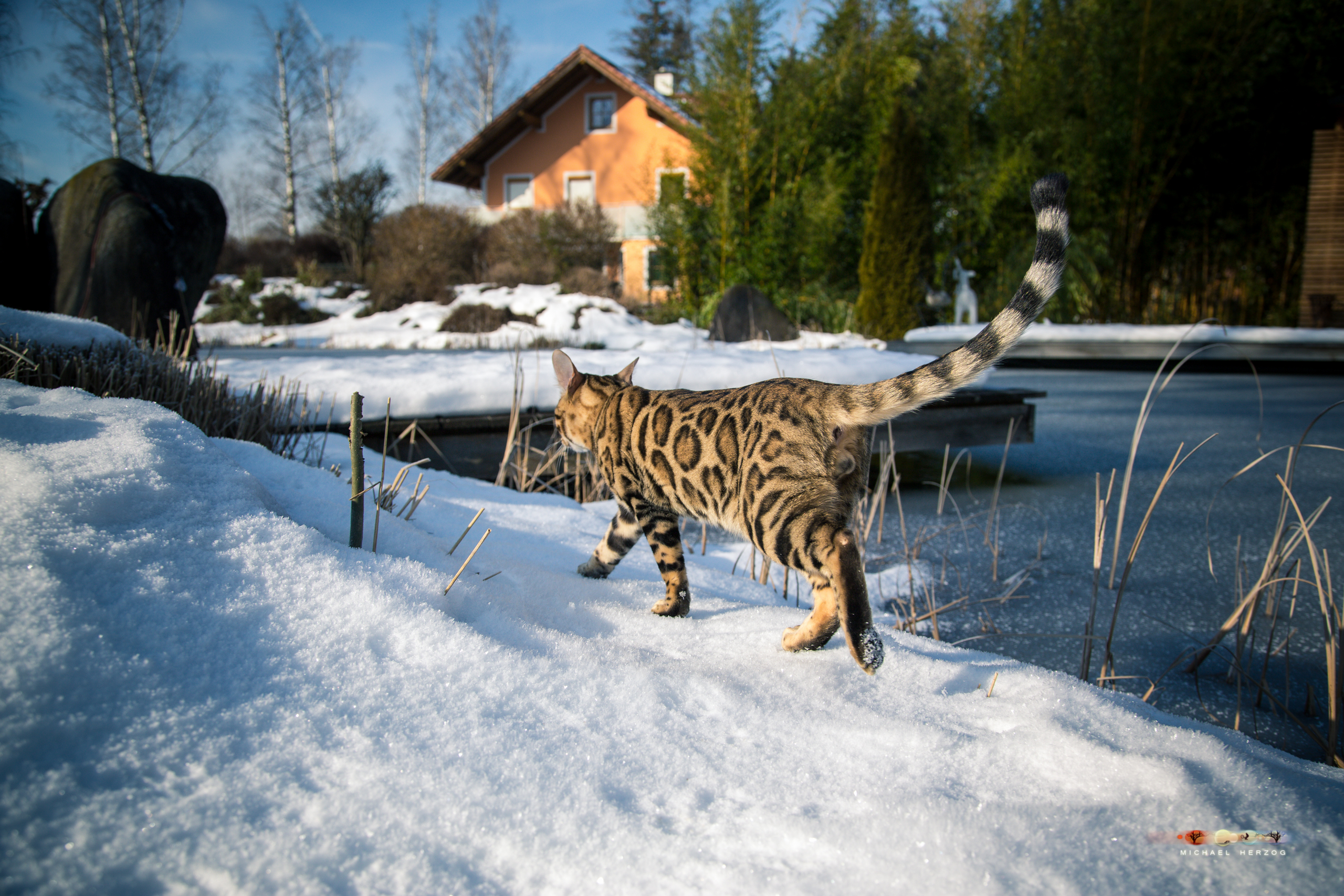 BALUARI_Winter2019_Garten_MichaelHerzog-8507.jpg