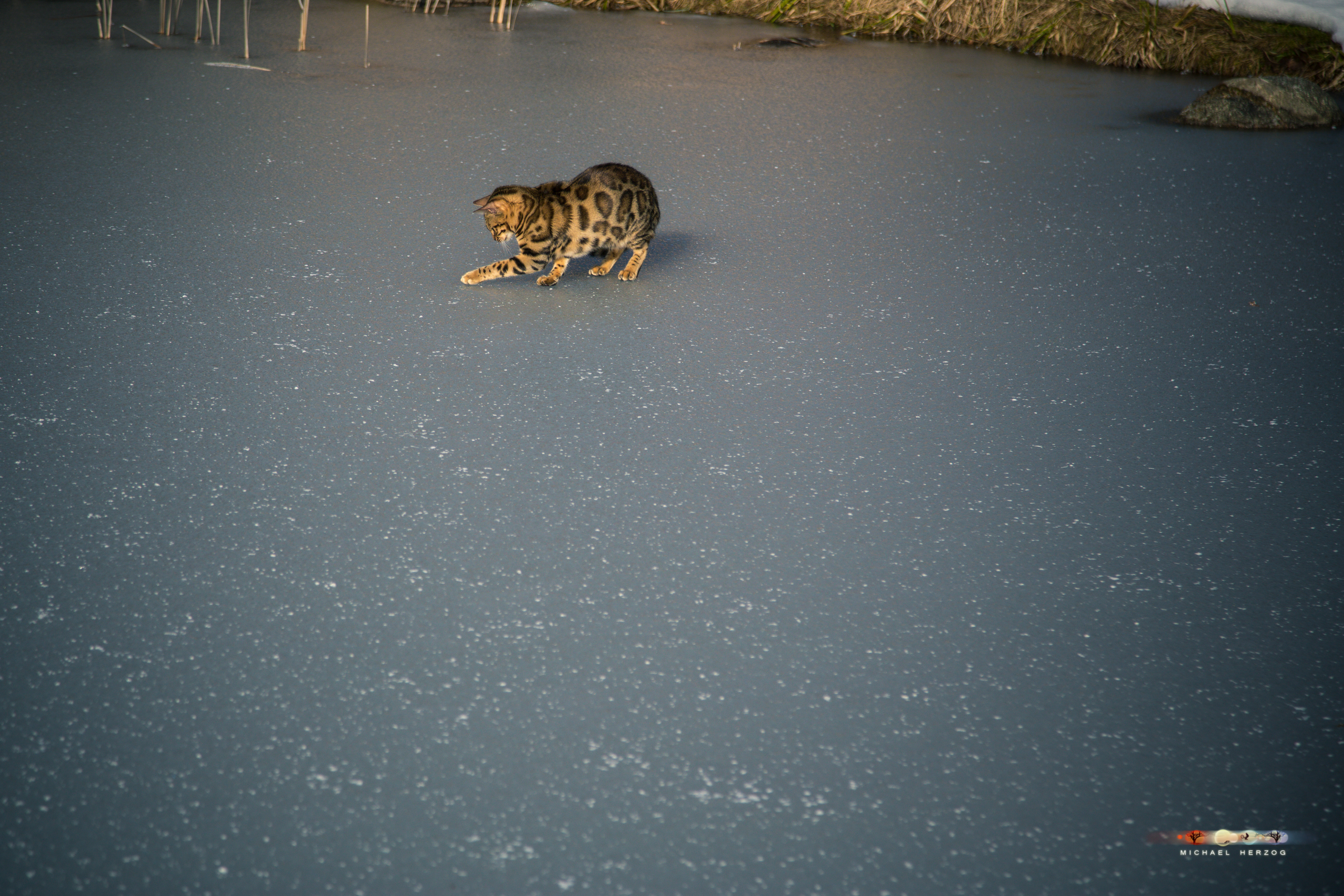 BALUARI_Winter2019_Garten_MichaelHerzog-8528.jpg