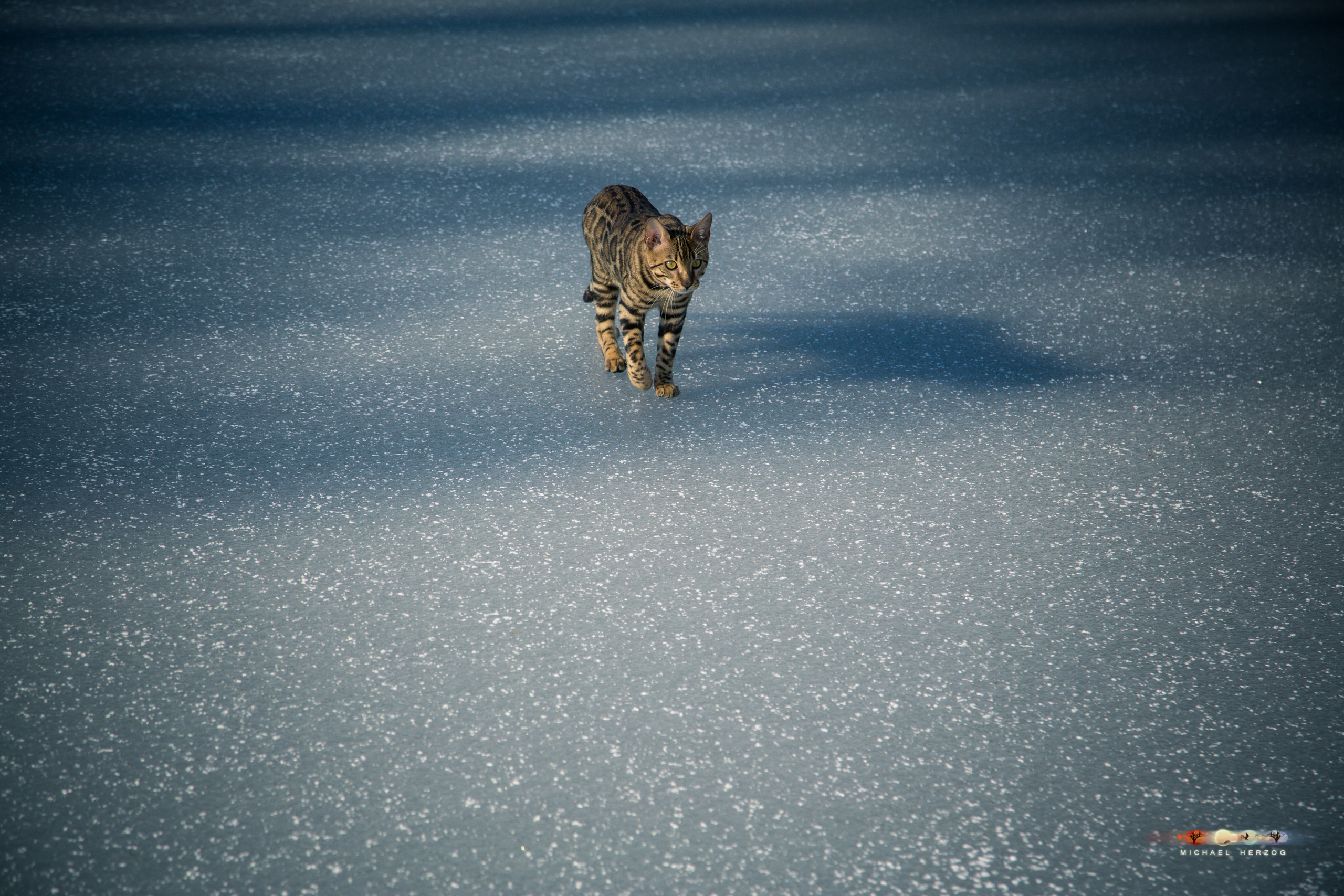 BALUARI_Winter2019_Garten_MichaelHerzog-8549.jpg