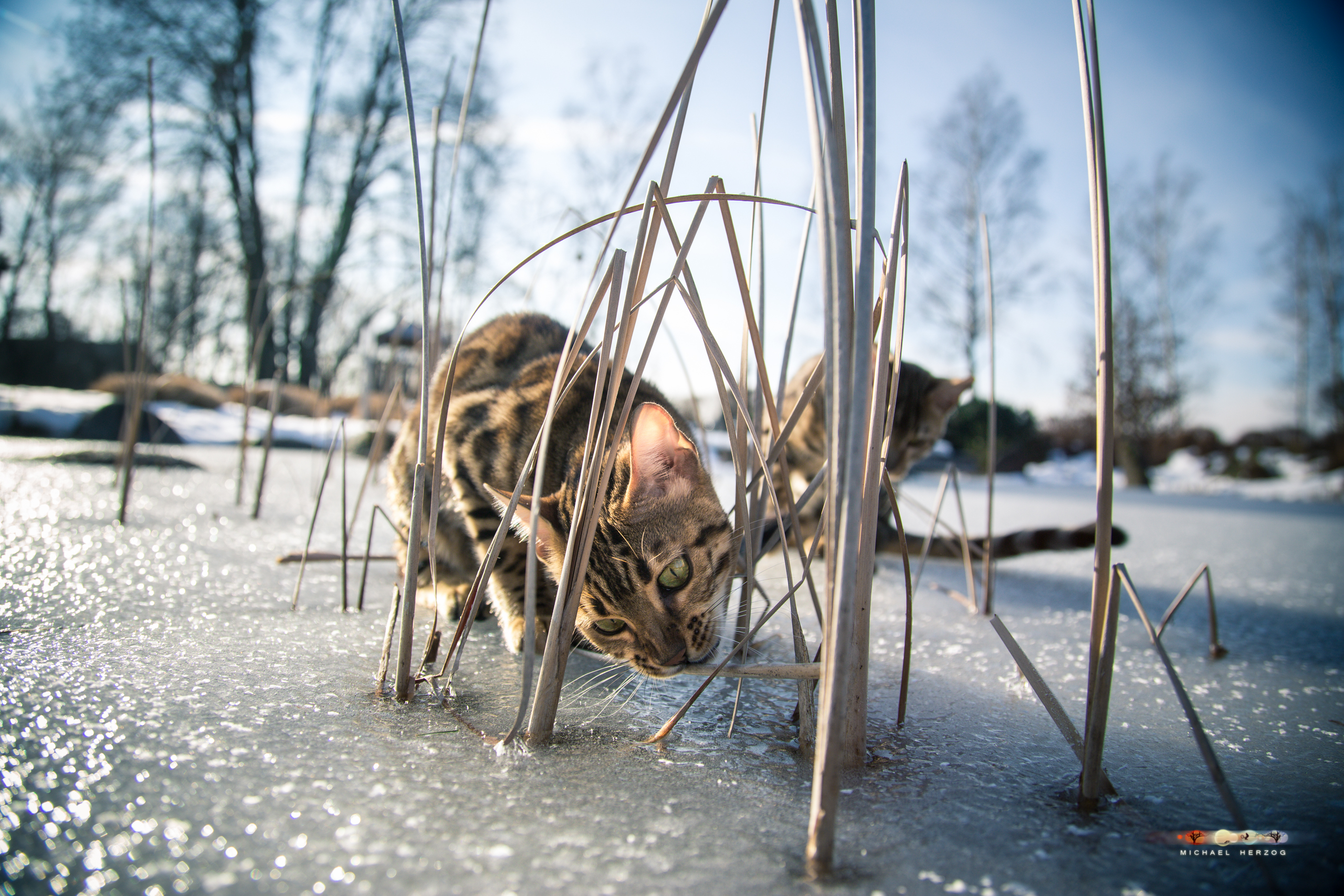 BALUARI_Winter2019_Garten_MichaelHerzog-8793.jpg