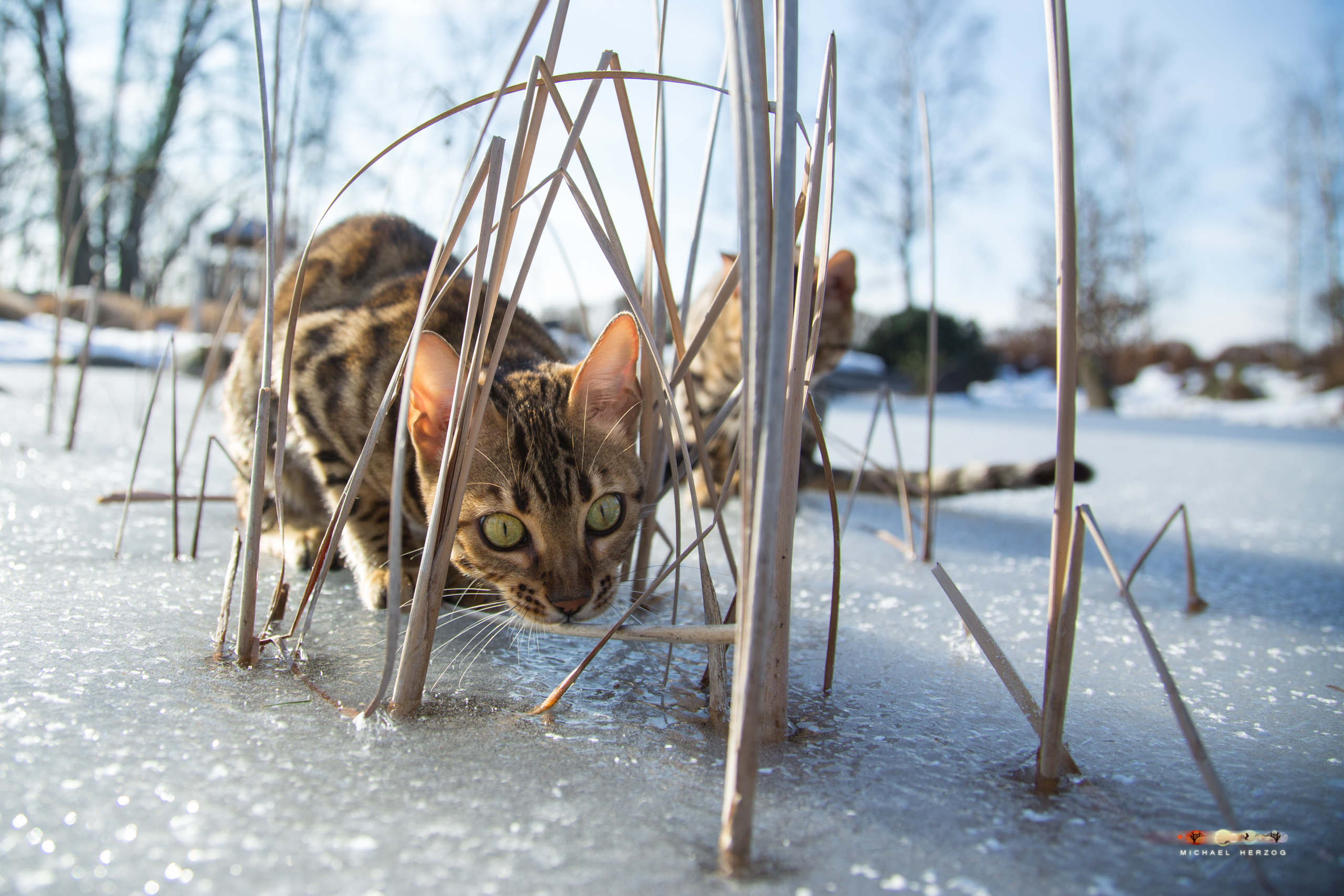 BALUARI_Winter2019_Garten_MichaelHerzog-8794.jpg